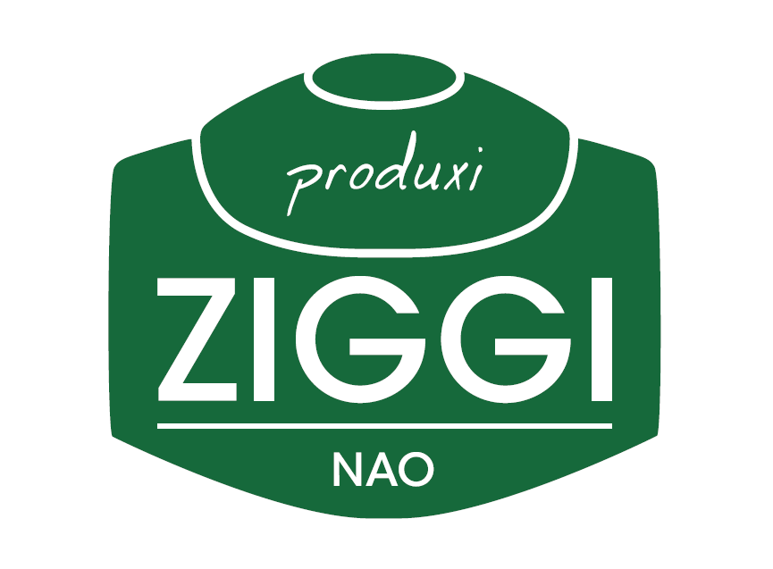 Ga naar Ziggi